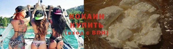 индика Белоозёрский