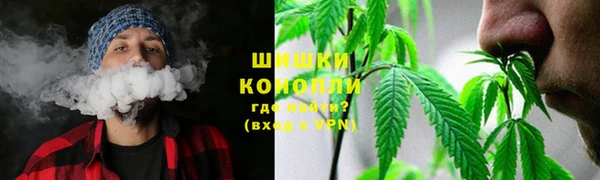 индика Белоозёрский