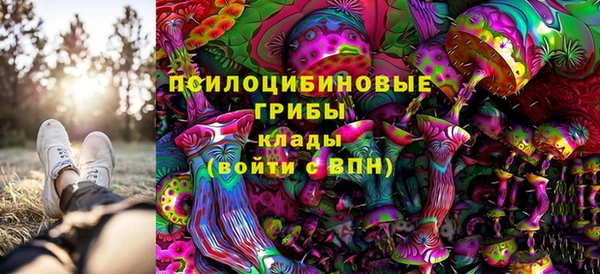 амф Беломорск