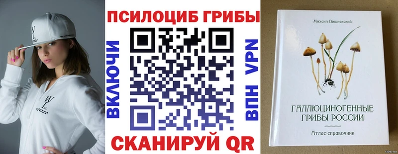 Псилоцибиновые грибы GOLDEN TEACHER  OMG зеркало  Бузулук 